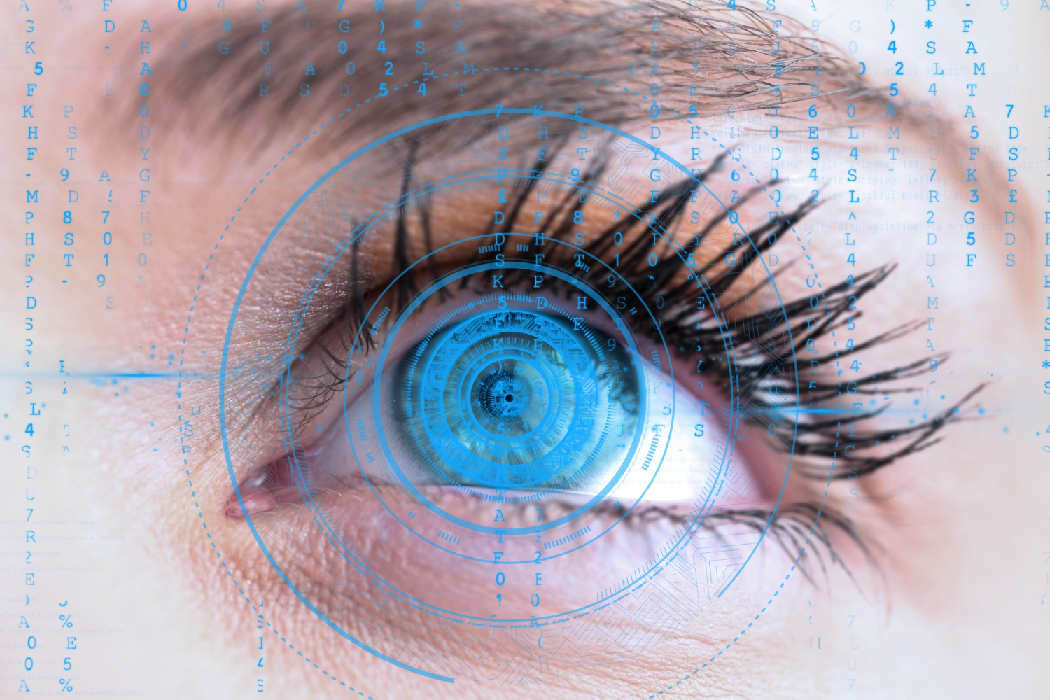 The Process of Acquiring Retinal and Iris Scans